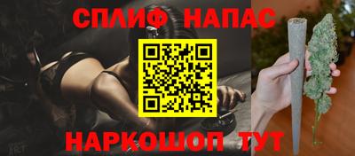 МДПВ Новозыбков