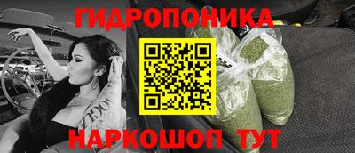 МДПВ Новозыбков