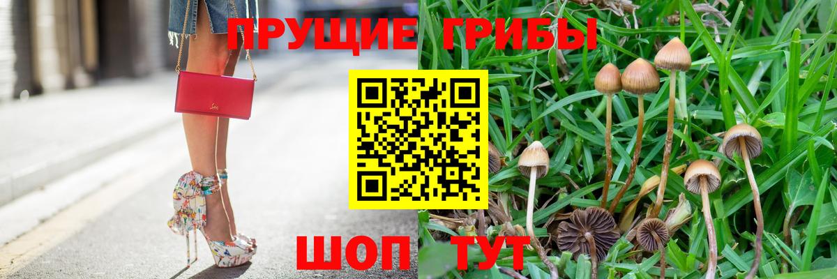 Галлюциногенные грибы мицелий  Вход с VPN  Галлюциногенные грибы прущие грибы  Тверь 